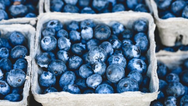 Fresh blueberry in a carton container showcasing blueberry texture and detail