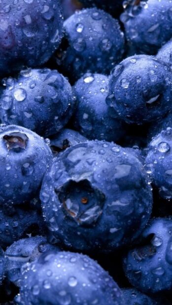 Close up view of fresh blueberry covered with water droplets