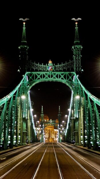 The green Liberty Bridge in Budapest illuminated at night with tram tracks in the foreground