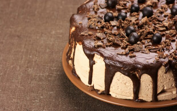 A chocolate cake with cream frosting and chocolate shavings on top