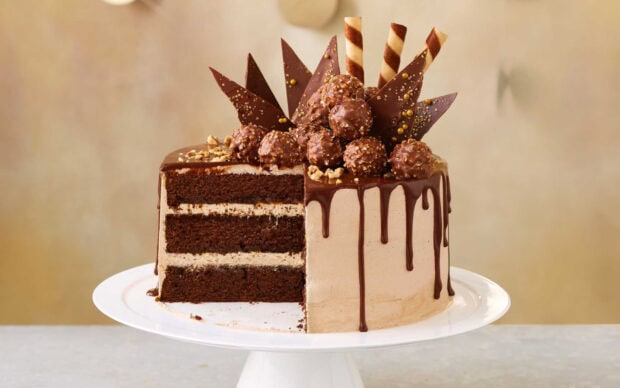 A chocolate cake with creamy layers and decorative chocolate truffles and shards on top