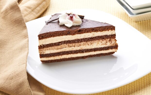 A slice of chocolate cake with creamy layers and a dollop of whipped cream on top