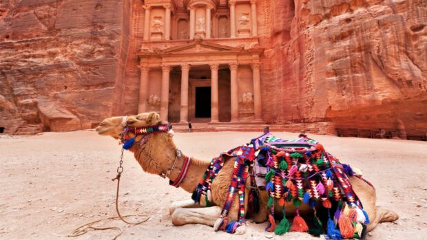A camel resting in front of an ancient rock cut structure surrounded by red sandstone cliffs
