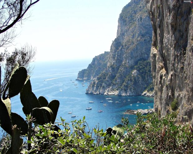 Cliffs and sea with boats seen from Capri Island coast surrounded by plants