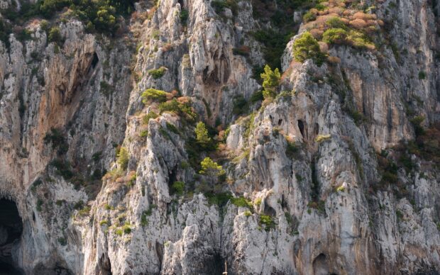 Rocky cliffs with scattered green trees on Capri Island in clear daylight