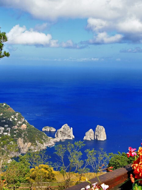 View of Capri Island sea rocks with flowers and greenery in foreground on a sunny day