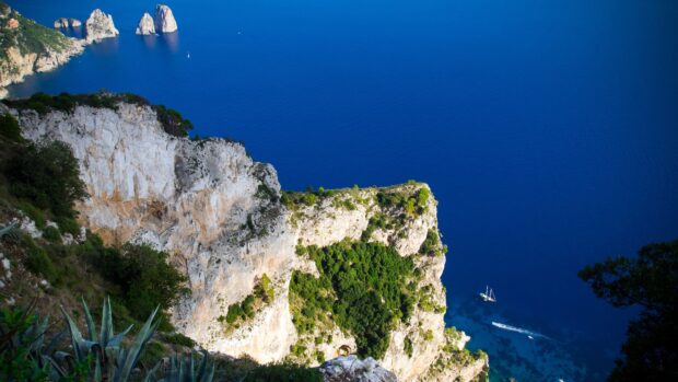 White cliffs with green vegetation overlooking deep blue sea on Capri Island