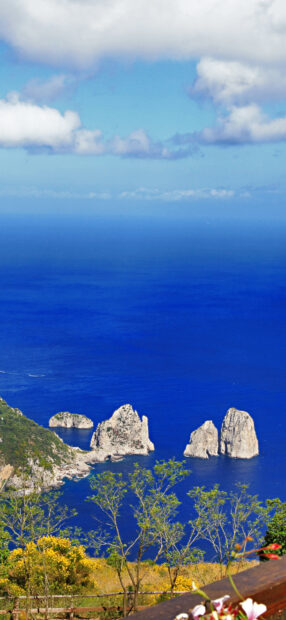 Natural view of Capri Island with rocky formations and green vegetation in the foreground