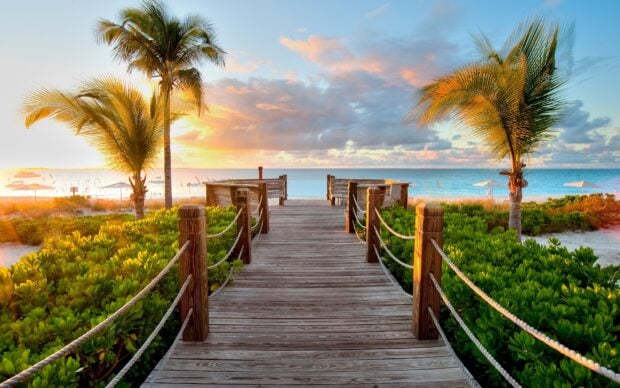 Wooden walkway surrounded by lush greenery on Caribbean Islands at sunset