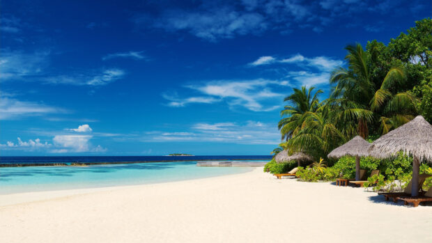 White sandy beach with palm trees on Caribbean islands coastline