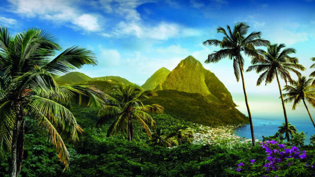Lush Caribbean Islands view with green palm trees and mountainous landscape under a blue sky