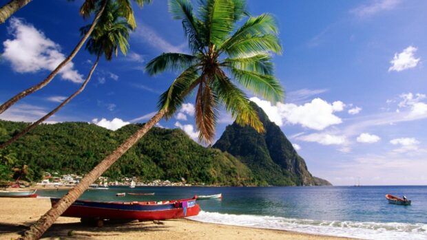 A beautiful Caribbean island scene with palm trees and boats on the sandy beach