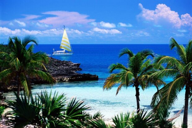 A sailboat near rocky shore and palm trees in the Caribbean Islands
