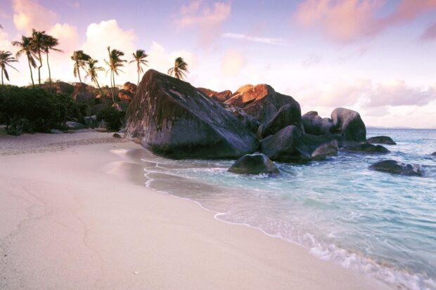 Large rocks and palm trees on a sandy shore in Caribbean Islands