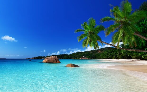 Clear turquoise water and palm trees on a Caribbean Islands beach