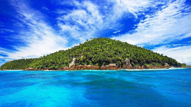 Lush Caribbean Islands covered with palm trees surrounded by vibrant blue ocean waters