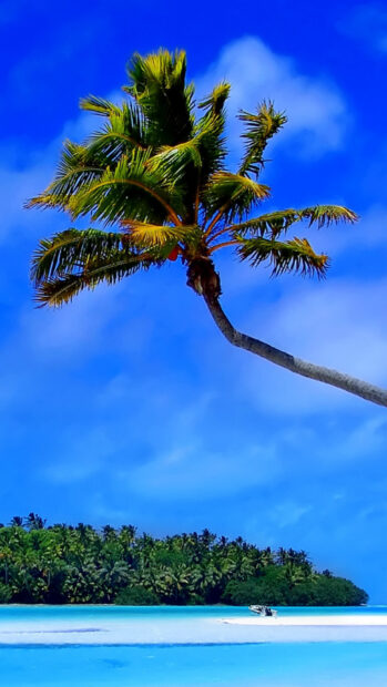 A tall palm tree standing over a turquoise sea near the lush Caribbean Islands
