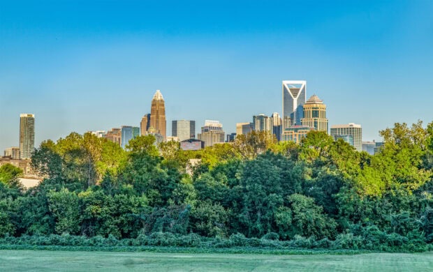 Lush green trees in front of Charlotte skyline during clear blue sky