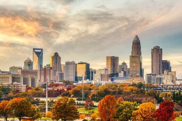 Vibrant autumn trees in Charlotte skyline during sunset with clear sky