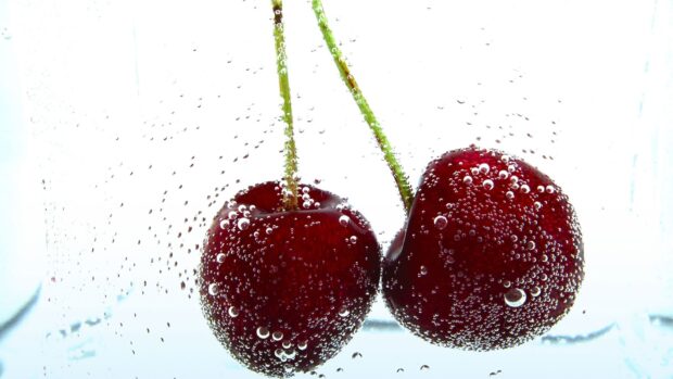 Two ripe cherries covered with bubbles underwater close up