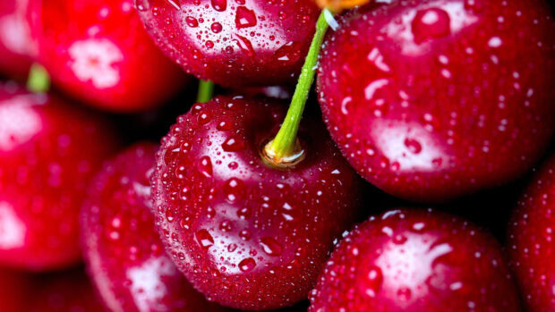 Close up of fresh cherry with water droplets on the surface