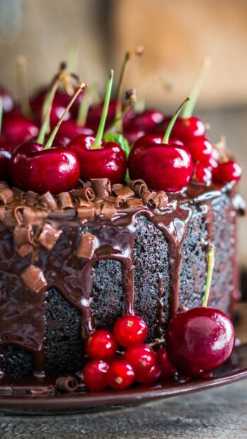 Close up of cherry decoration on rich chocolate cake with red cherries and chocolate curls