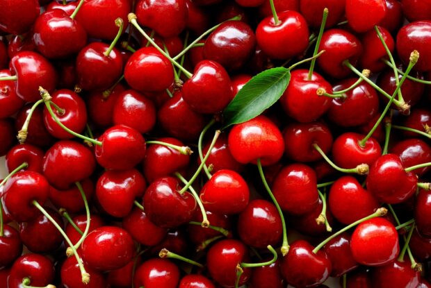 Fresh red cherry with green stems and leaf in high definition close up