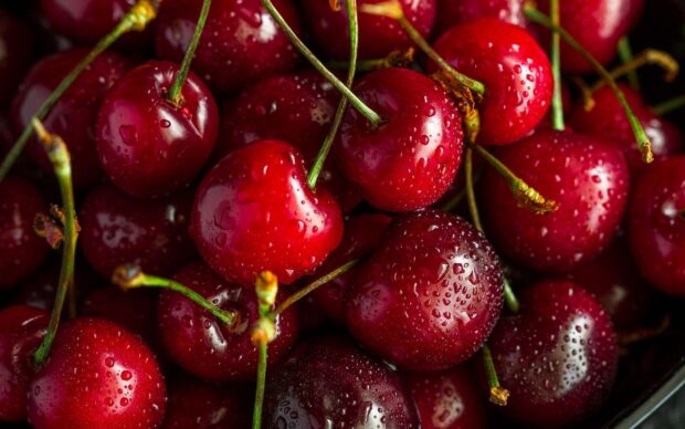 Fresh ripe cherry with water droplets on the skin