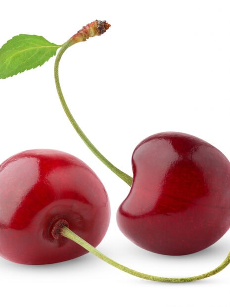 Two fresh cherries with stems on a white background showing cherry fruit detail