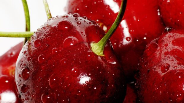 Close up of cherry with water drops showcasing fresh cherry texture and stem
