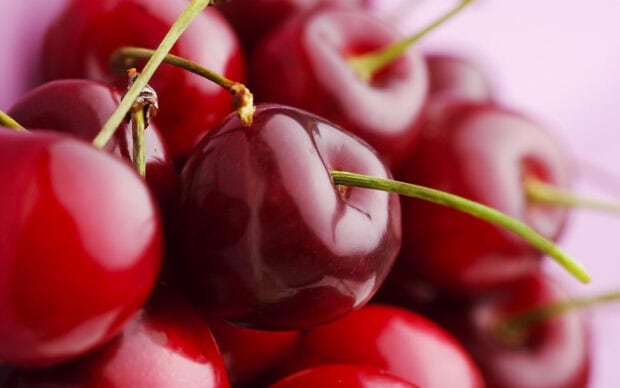 Close up view of fresh cherry with glossy skin and green stem on pink background