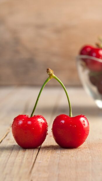 Two fresh cherry stems connected with water droplets on wooden surface