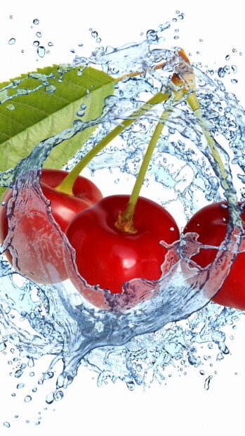 Fresh cherry with green leaf splashed by water droplets in close up view