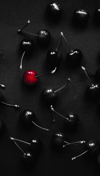 A single red cherry standing out among many black cherries on a dark surface