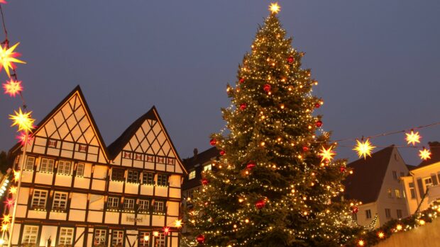 A large Christmas tree decorated with lights and red ornaments in front of traditional European buildings