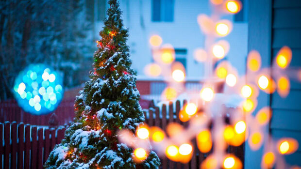 A snow covered Christmas tree surrounded by colorful lights in a winter outdoor setting
