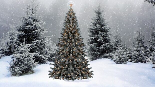 A decorated Christmas tree surrounded by snow covered pine trees in a winter forest
