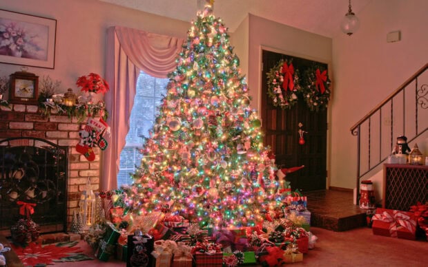A brightly decorated Christmas tree with colorful lights and ornaments in a cozy living room