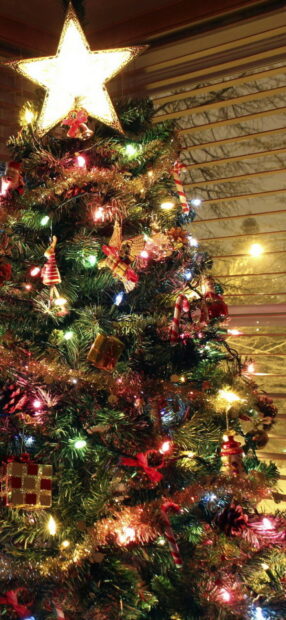 A decorated Christmas tree with lights and ornaments shining brightly indoors