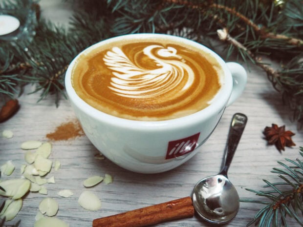 A cup of latte art with cinnamon and almond slices on a wooden table surrounded by pine branches