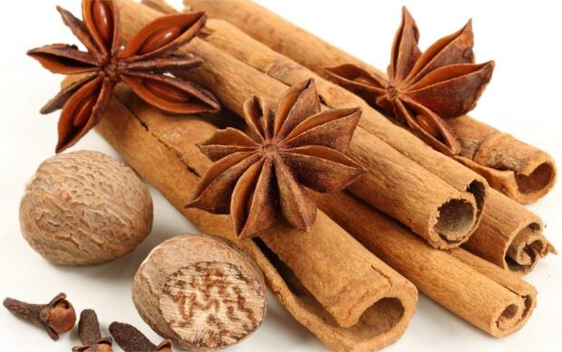 Close up view of cinnamon sticks and star anise on a white background