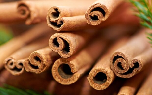 Close up view of cinnamon sticks showing detailed texture and natural curls