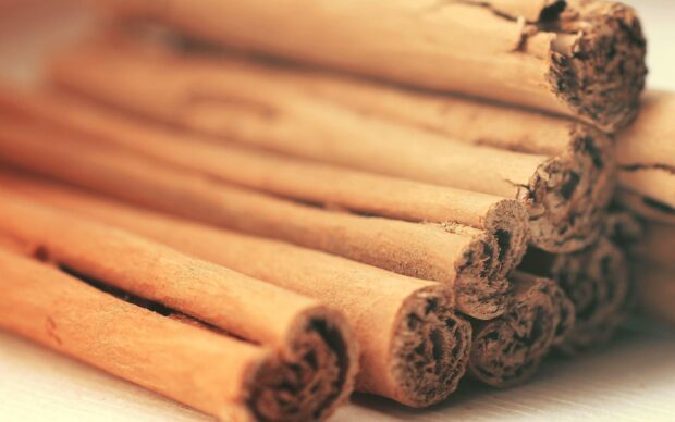 Close up view of cinnamon sticks stacked in a row showing their texture and detail