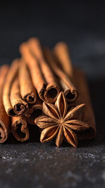 Close up of cinnamon sticks with star anise on dark surface