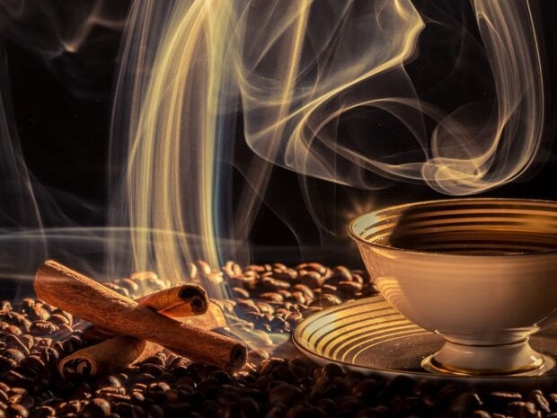 Cinnamon sticks resting on coffee beans with swirling steam and a decorative cup of coffee