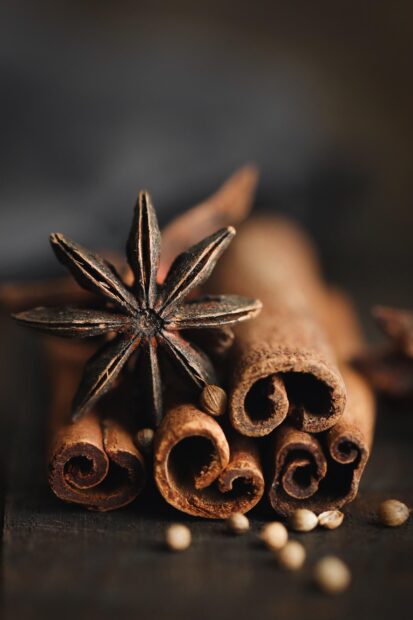 Close up of cinnamon sticks with star anise and coriander seeds on wooden surface