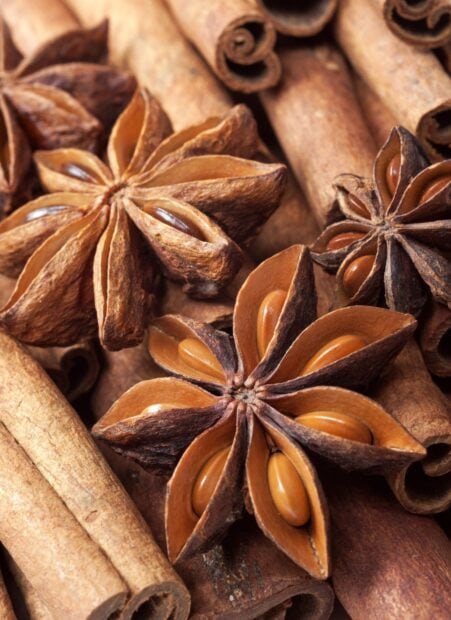Close up of star anise and cinnamon sticks on a wooden surface