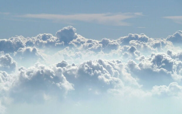 Fluffy clouds filling the sky under soft sunlight creating a serene cloudy view