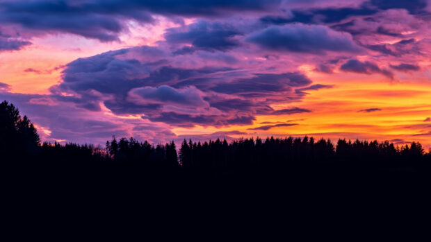 Beautiful clouds forming over the silhouette of a forest at vibrant sunset light