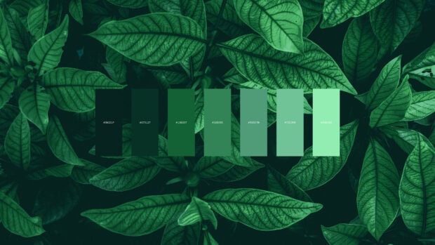 Green color palette overlay on detailed leaf foliage